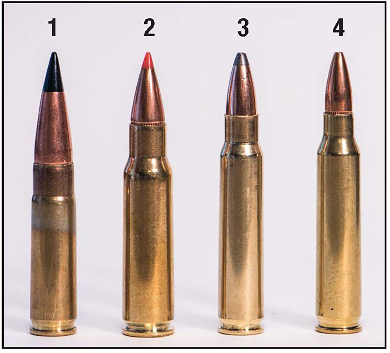 The 300 Blackout (1) and the 6.8 SPC (2) are popular cartridges, but neither offers the versatility of the 223 Remington (4) or the 25-45 Sharps (3). The 25-45 may be more versatile than the other three and legal for big game hunting in every state.
